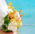 �n���C�A���u�[�P